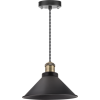 Светильник подвесной винтажный Navigator NIL-WF02-008-E27 60Вт 1,5м черный/бронза (61536)