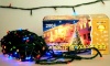 Гирлянда с контролером 200 уличных цветных светодиодов 22,9м.LD200C-GM 200LED (14468)