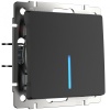 Выключатель 1-клавишный с подсветкой WL08-SW-1G-LED Werkel Черный /10