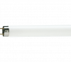 Лампа люминисцентная L36/765/840Osram (25)